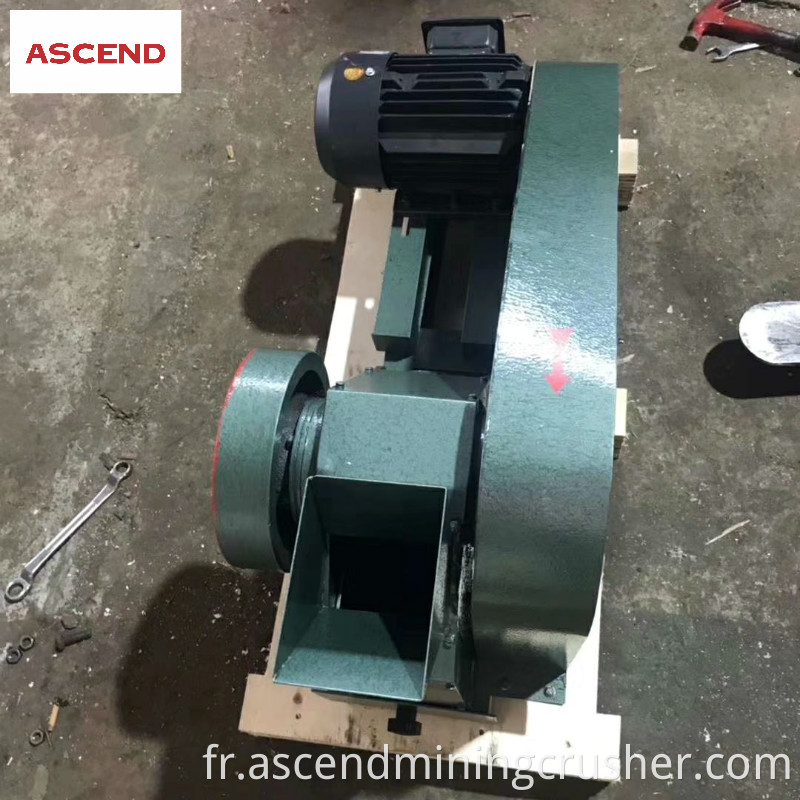 Mini Jaw Crusher 5